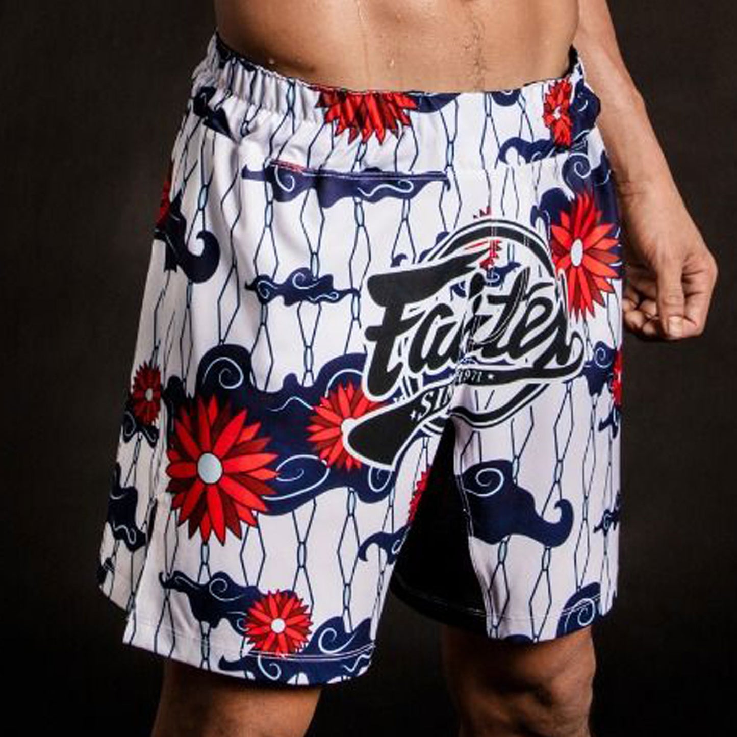 ab18-fairtex-mma-board-shorts-deep-passion