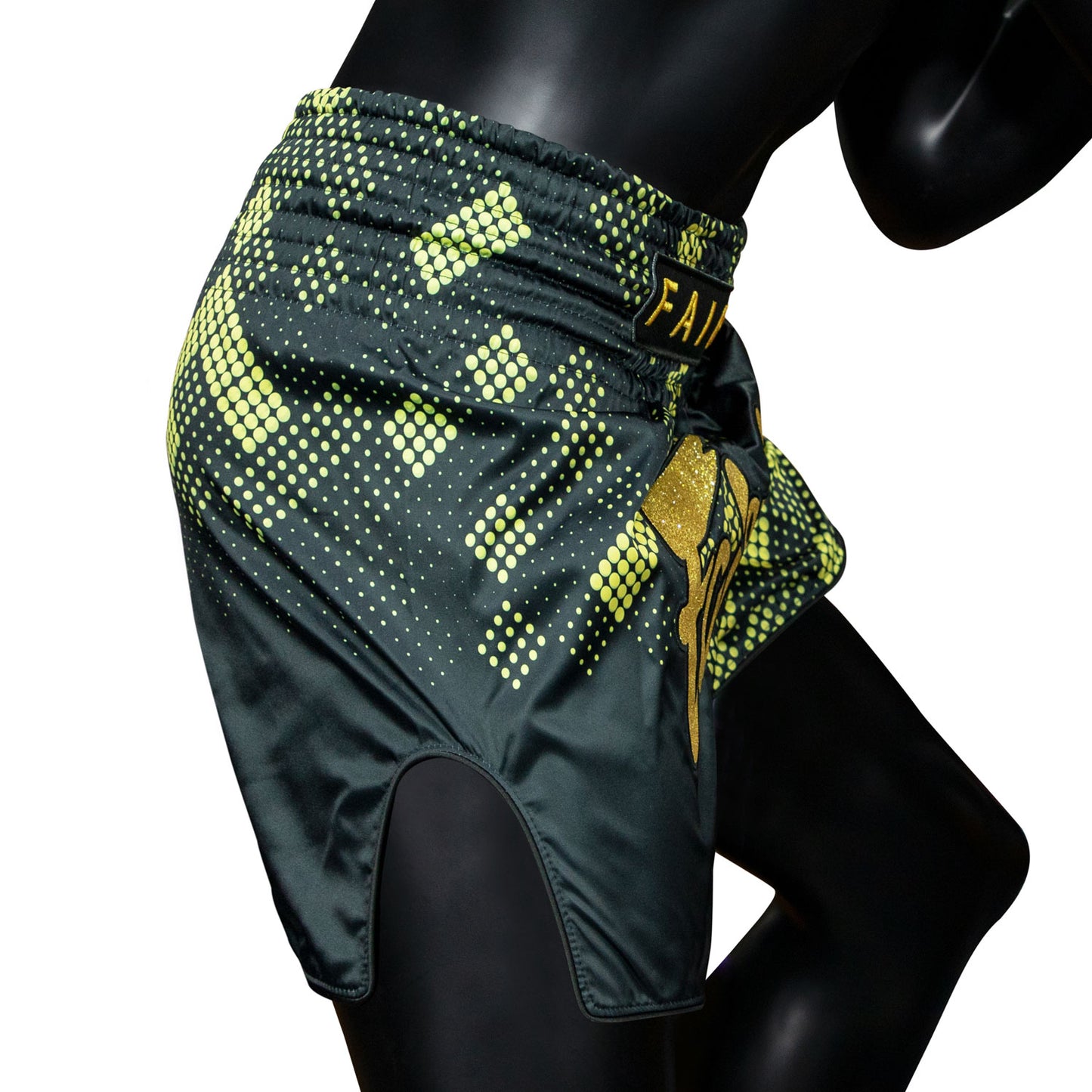 bs1931-fairtex-heart-of-gold-muaythai-shorts-4