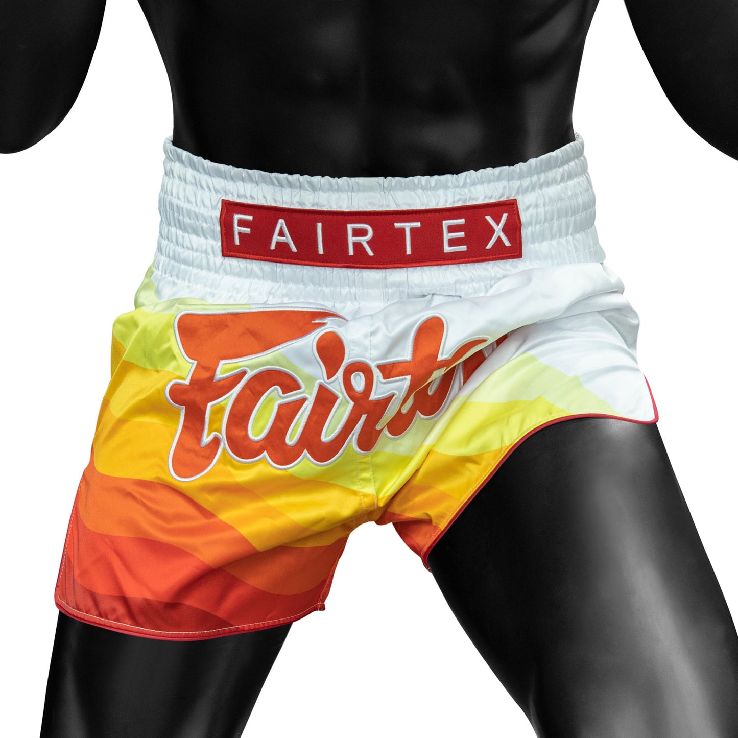 bs1932-fairtex-spectrum-muaythai-shorts-3