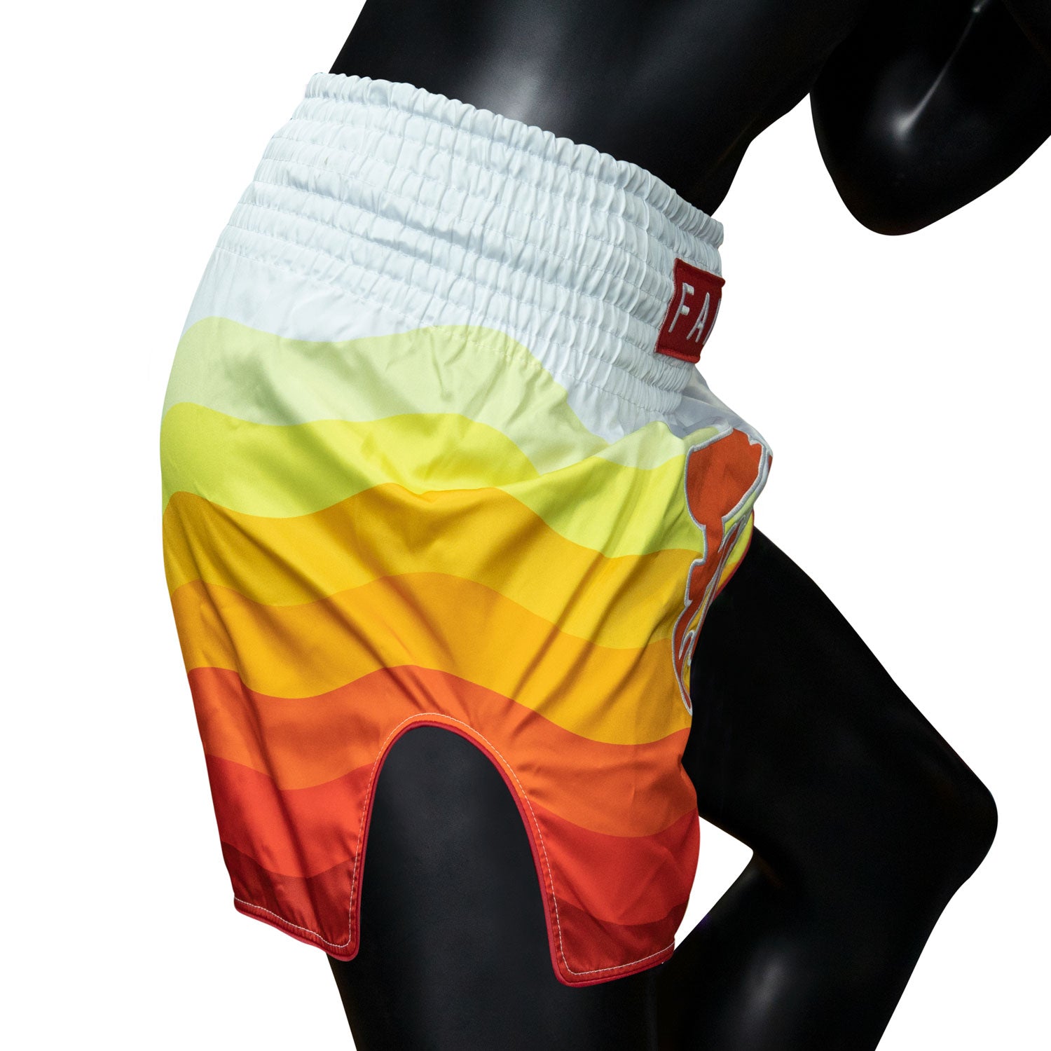 bs1932-fairtex-spectrum-muaythai-shorts-4