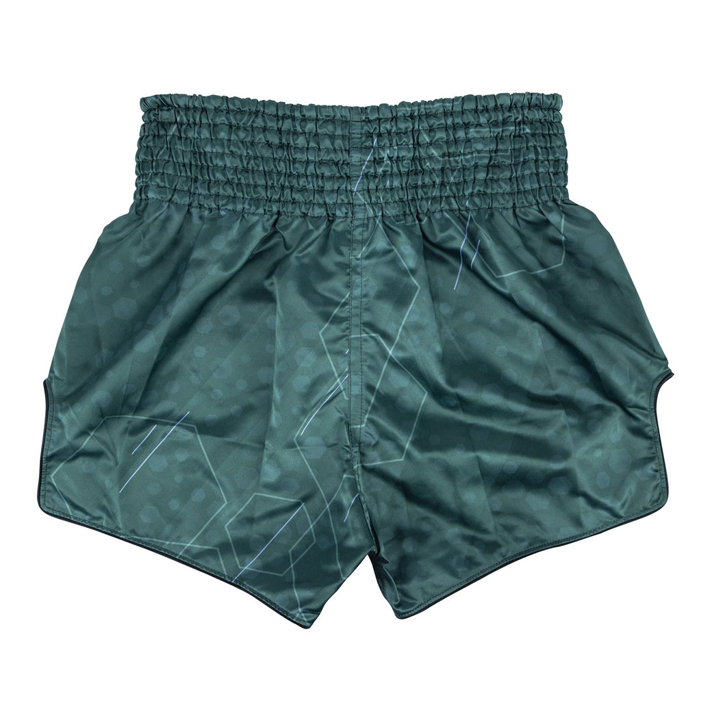 bs1952-fairtex-jungle-hunter-muaythai-shorts-2