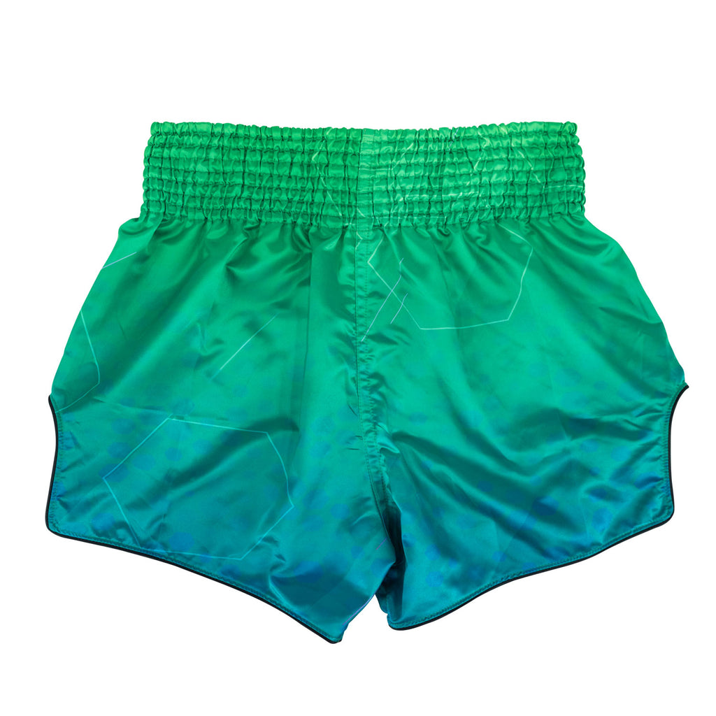 bs1953-fairtex-quantum-muaythai-shorts-2