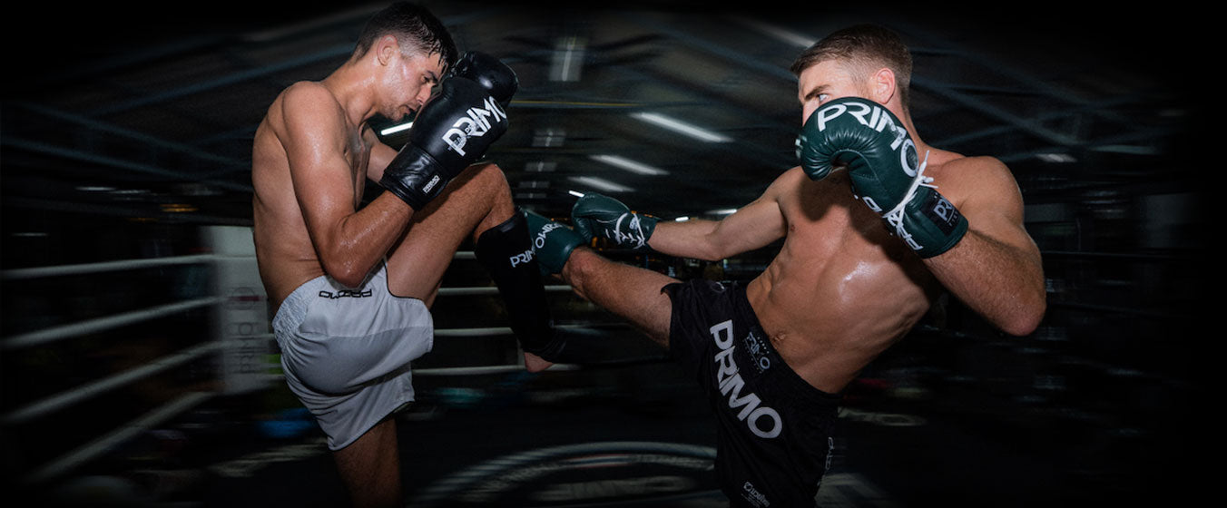 Two boxers in a boxing ring with 'Primo'  branding on their gloves.